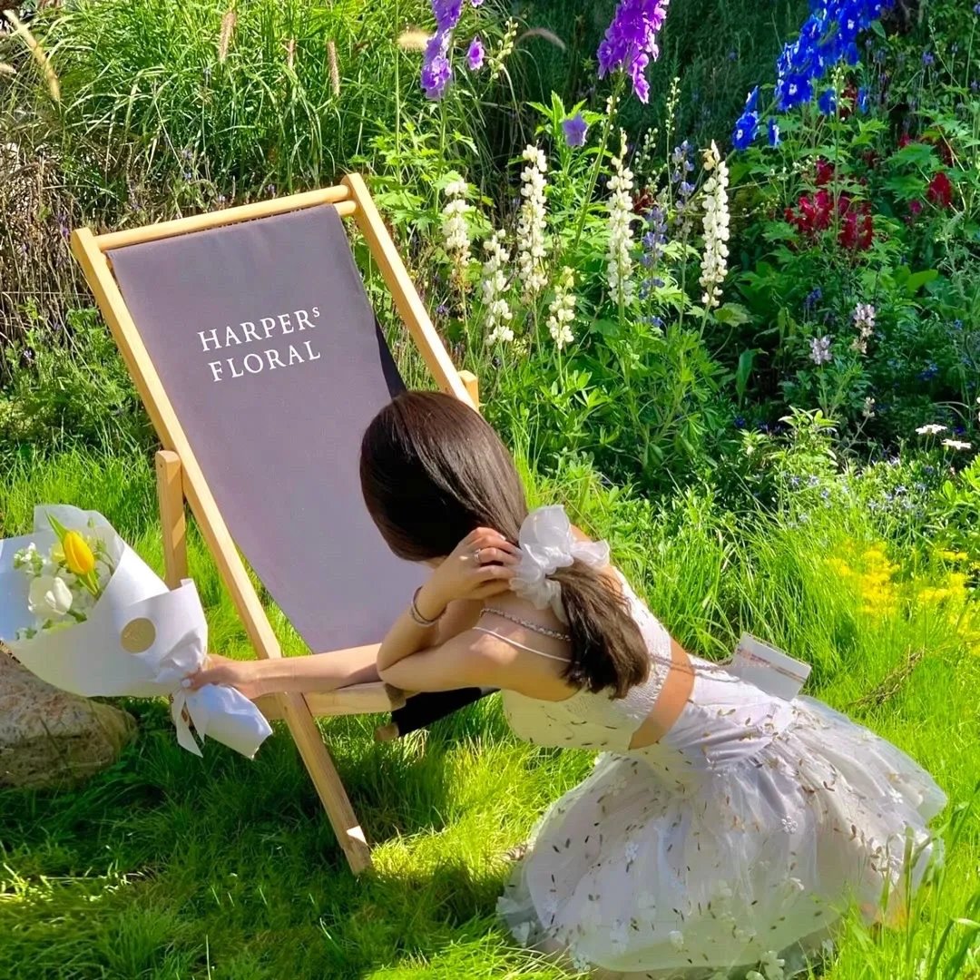 怪老头与曹小仙第三季